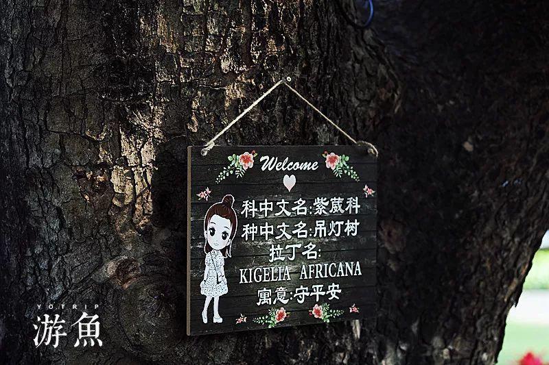 美图秀秀下载2023最新版